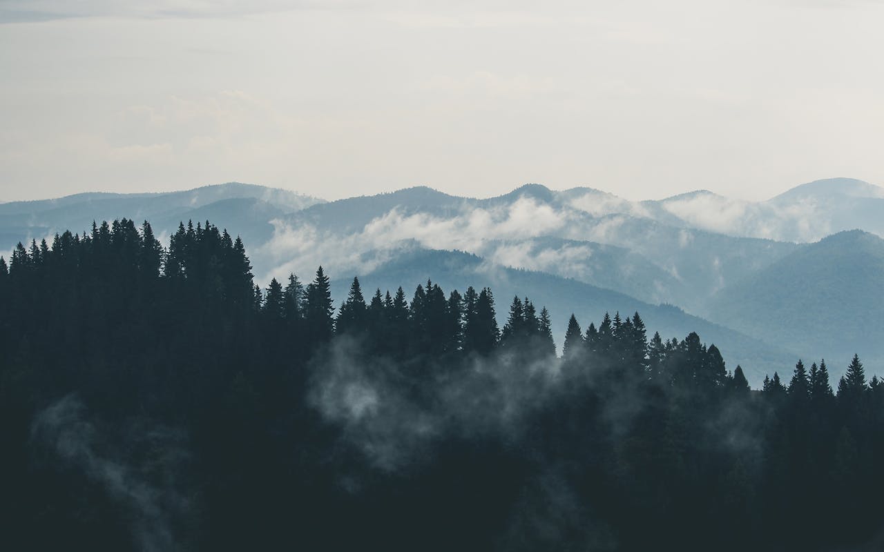 mountains-clouds-forest-fog-9754.jpg